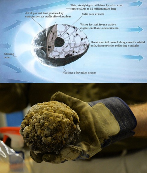 (Top) Our understanding of the structure of comets. (Bottom) A model of a comet you can build on your own (link) [Photo by Latoya Flowers, Adler Planetarium]