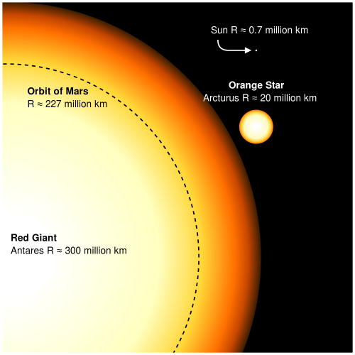 Antares is in its red giant phase, and is larger than the orbit of Mars!  [Image from Wikimedia Commons]