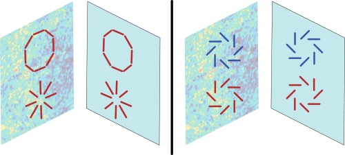 (L) E-mode polarization patterns look identical if viewed in a mirror.  (R) B-mode polarization has a "twist." If the twist is clockwise, then when viewed in a mirror the twist is counter-clockwise, and vice versa.
