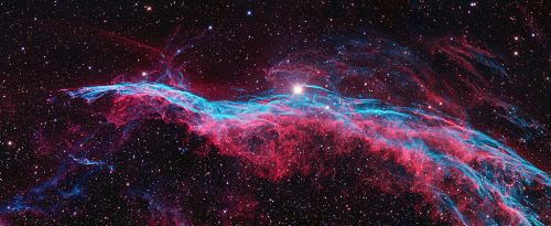 The Western Veil Nebula (NGC 6960), just off the wing of the constellation Cygnus. Visible in amateur telescopes, it is one of the most exquisite supernova remnants in the sky. [Wikimedia Commons]